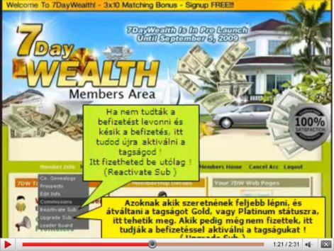dollar13.jpg